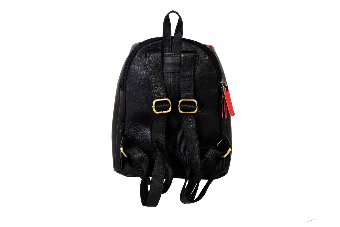 Livinwise Genuine Black Leather Mini Backpack with Red Piping